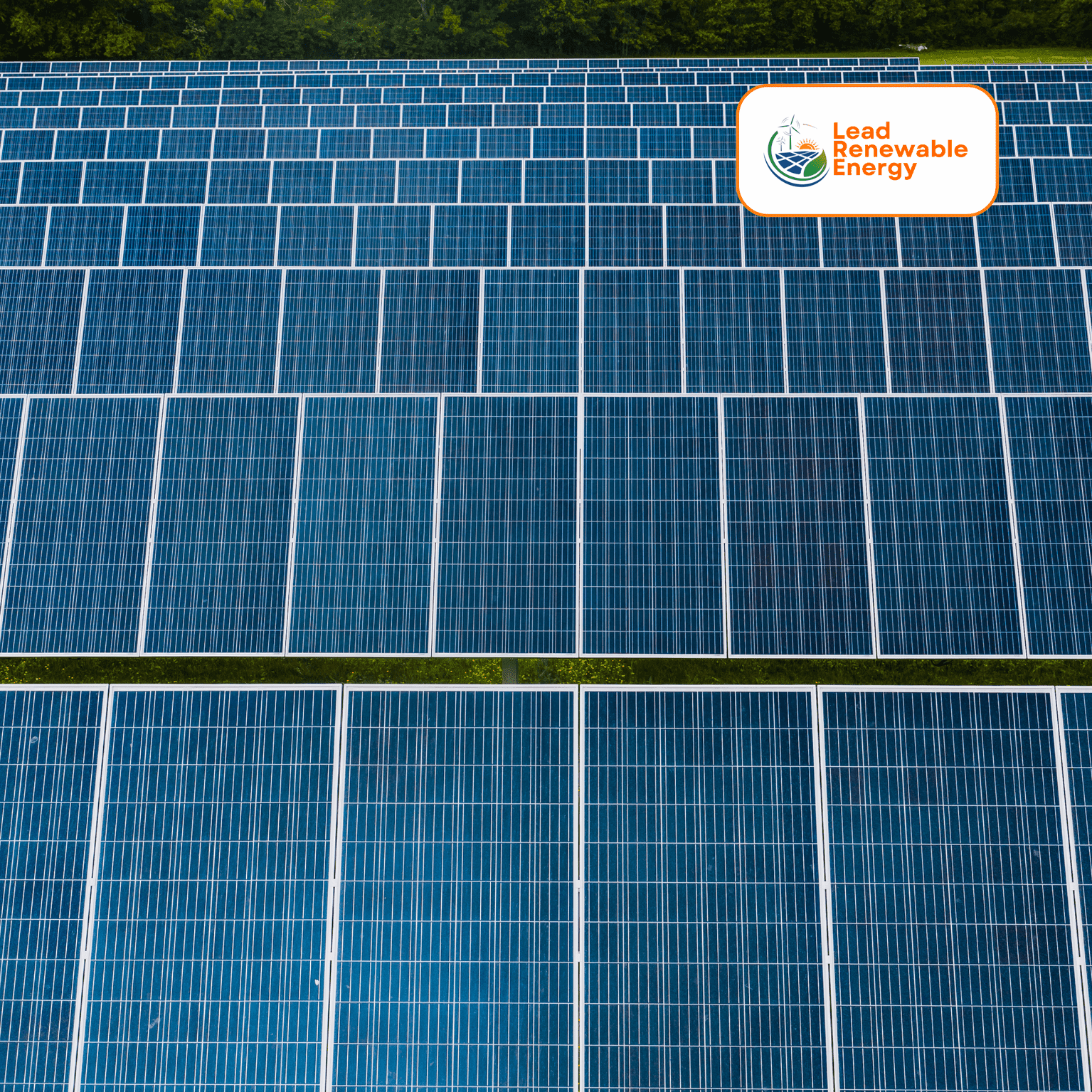 The future of renewable energy | Renewable Energy